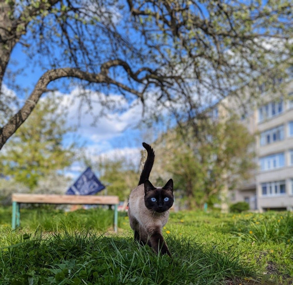 Photograph by Элеонора Исмаилова