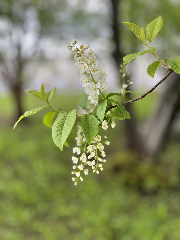 Photograph by Ирина Селиверстова