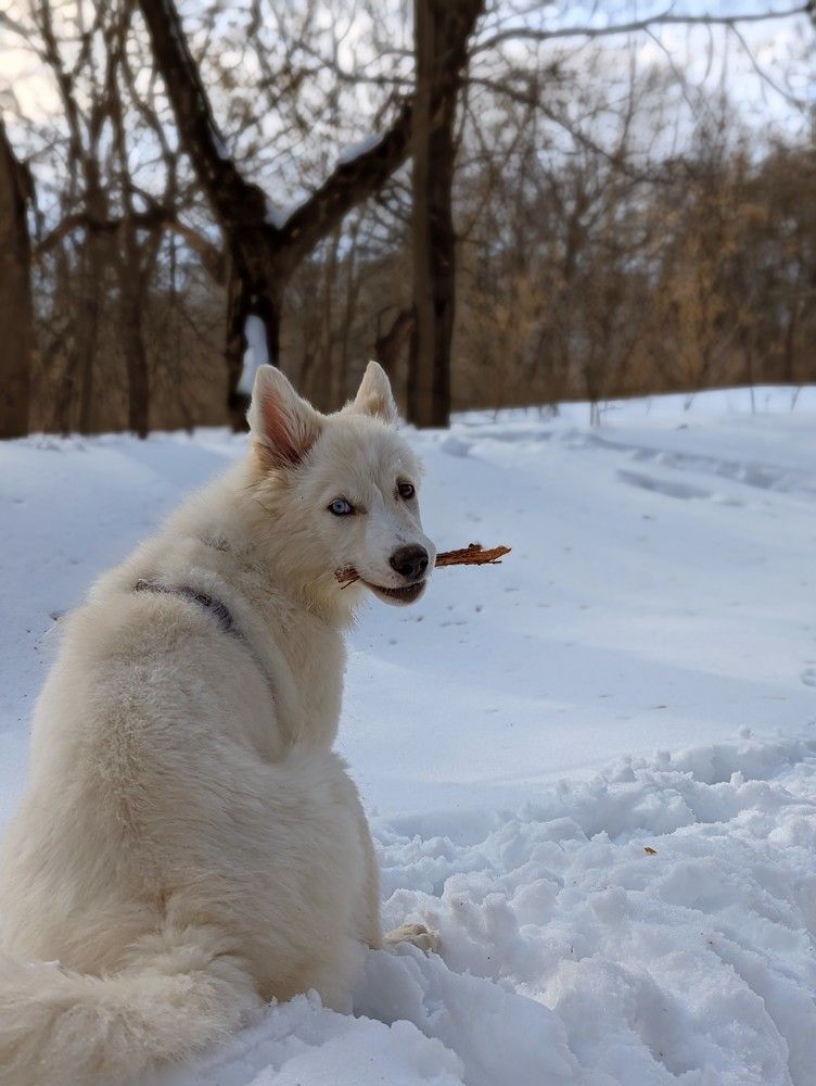 Вэй