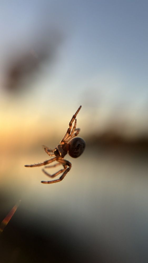 Photograph by Елена Гущина