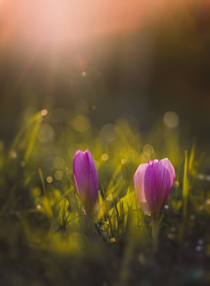 Осенние фантазии...