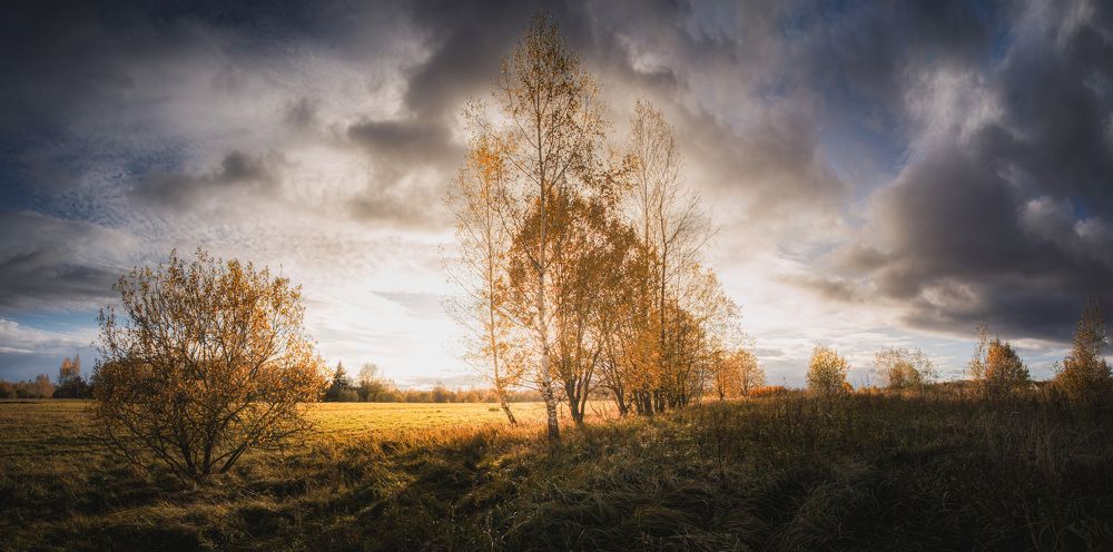 Photograph by Зеленько Дмитрий