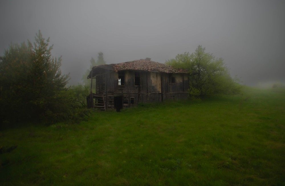 Photograph by Николов Андриян