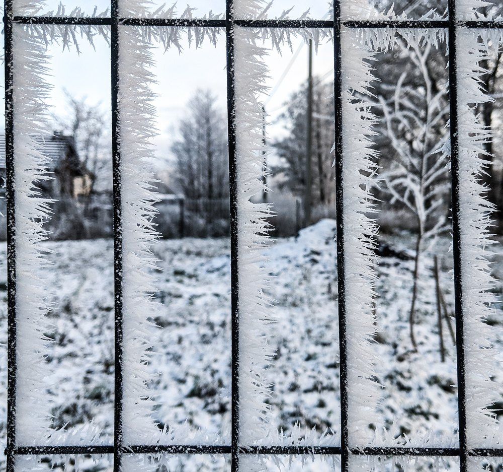 Фотография автора Ксения Шляйхер