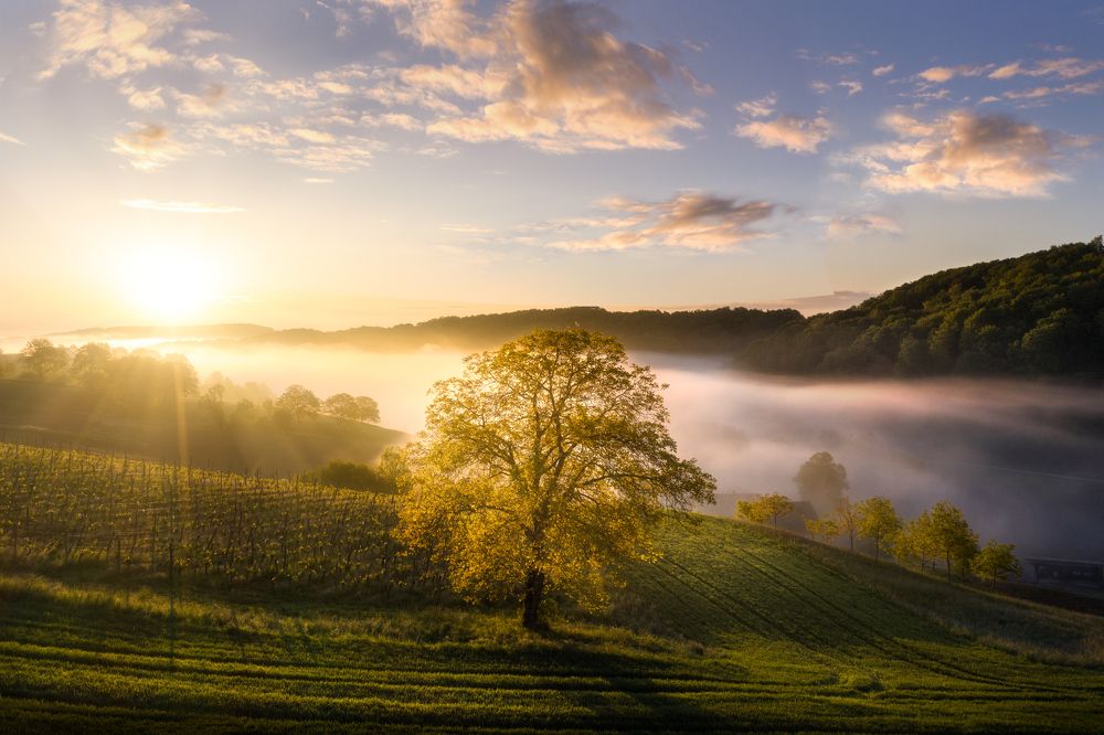 Photograph by Anze Zupancic