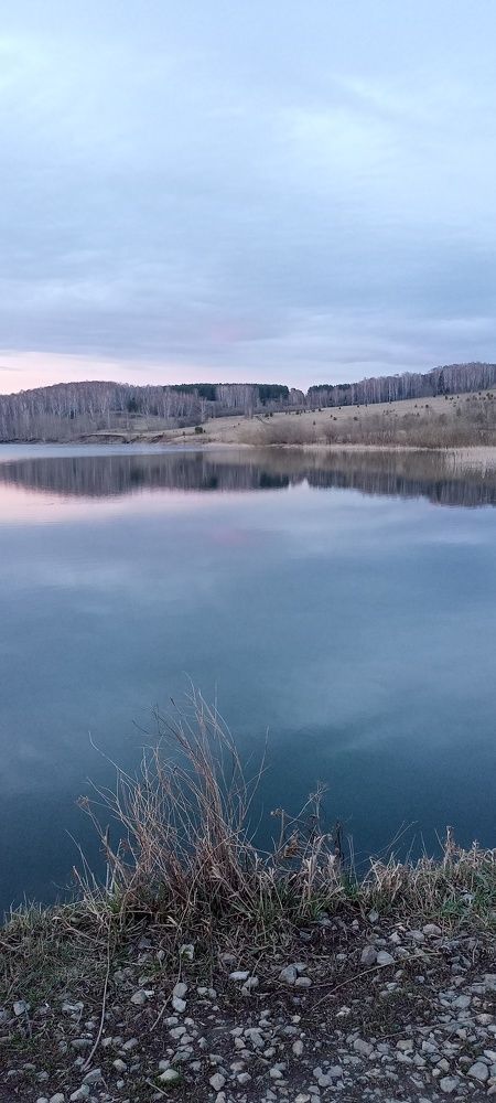 Photograph by Светлана