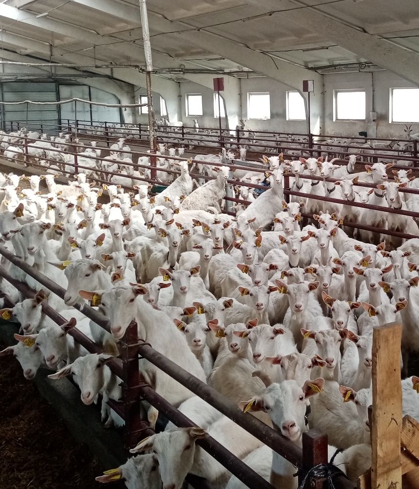 Photograph by Михаил Царикевич