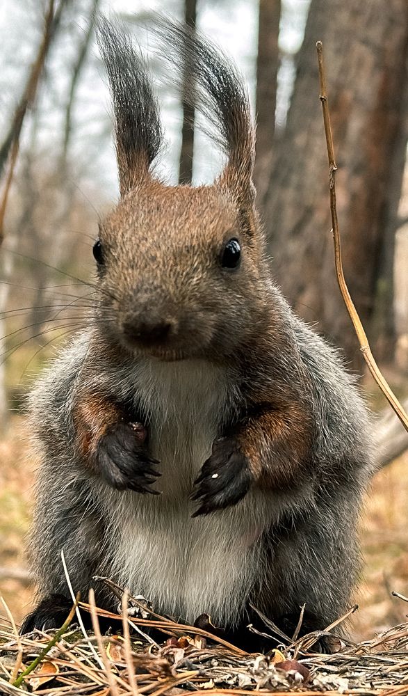 Photograph by Марина Мишутина