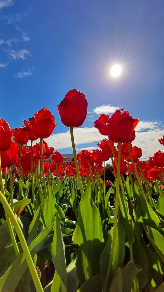 Photograph by Елена Воронова