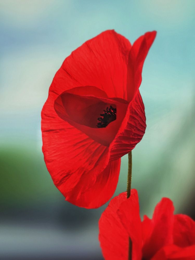 Photograph by Елена Громова