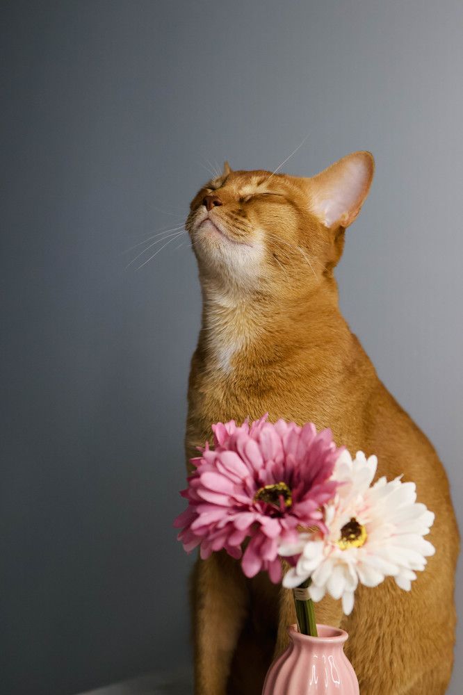 Photograph by Дарья