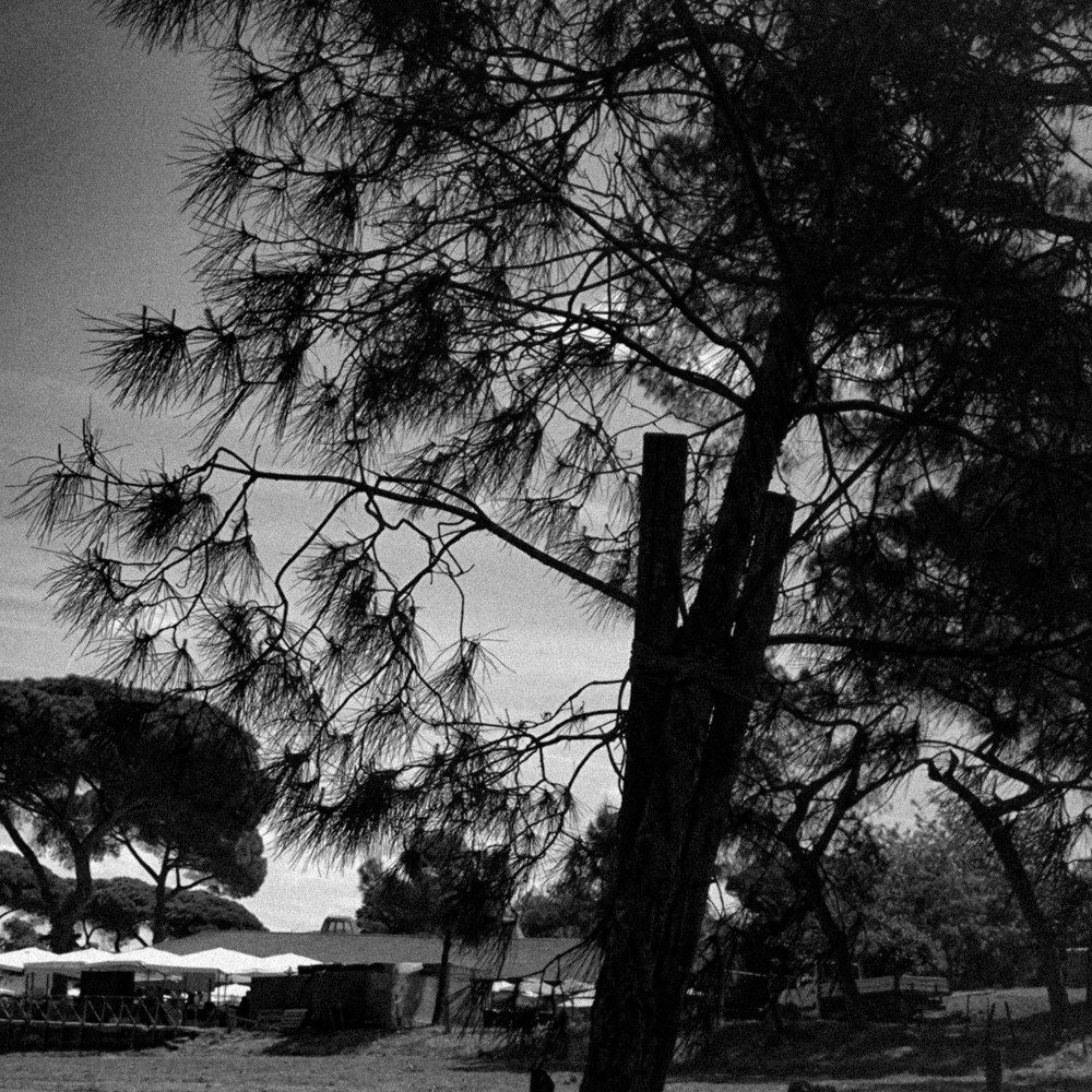 Photograph by DANIELA