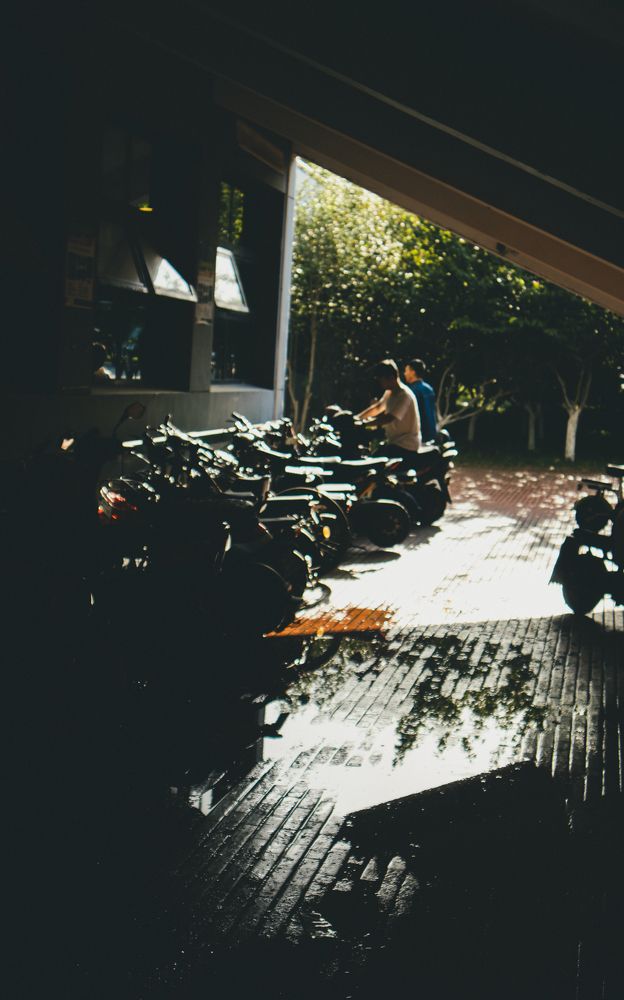 Photograph by 不会飞的鸽子