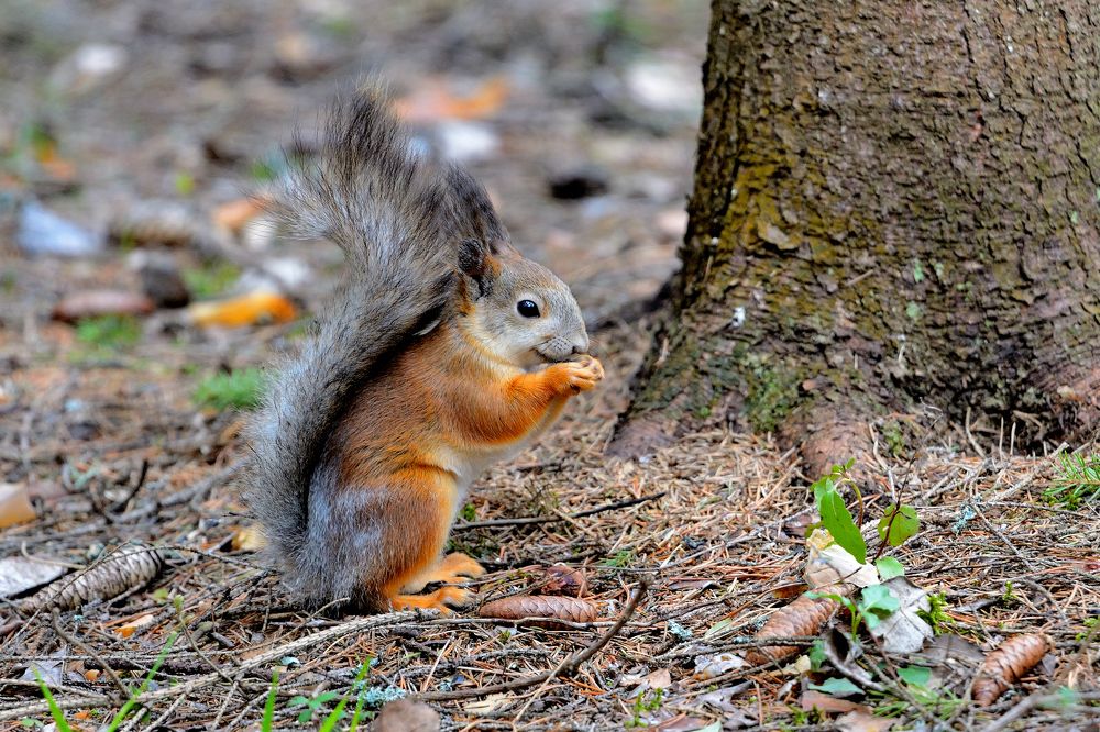 Photograph by Александр Зуев