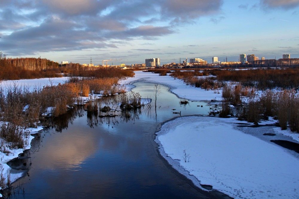 Краски утра