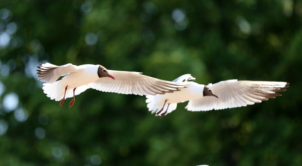 Photograph by Унку Юрий