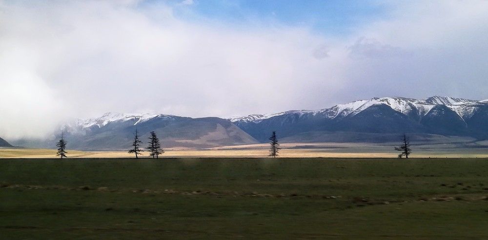 Одинокие лиственницы