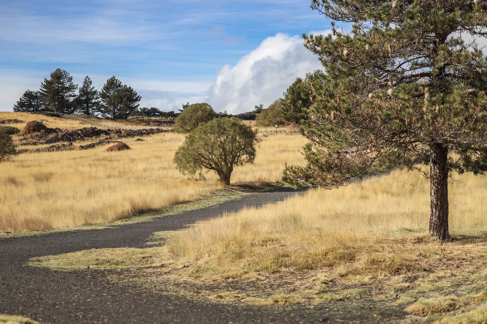 Фотография автора Inga Ivanova