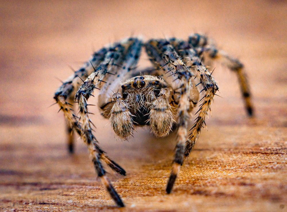 Photograph by Константин Петров