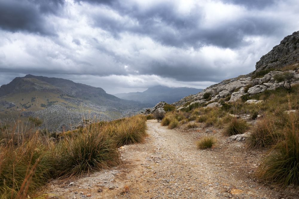 Фотография автора Inga Ivanova