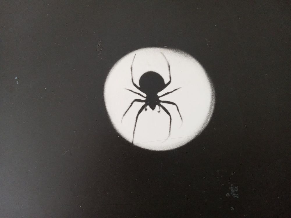 Photograph by Paul Bowers