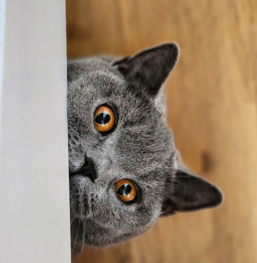 Photograph by Надежда Кудрявцева