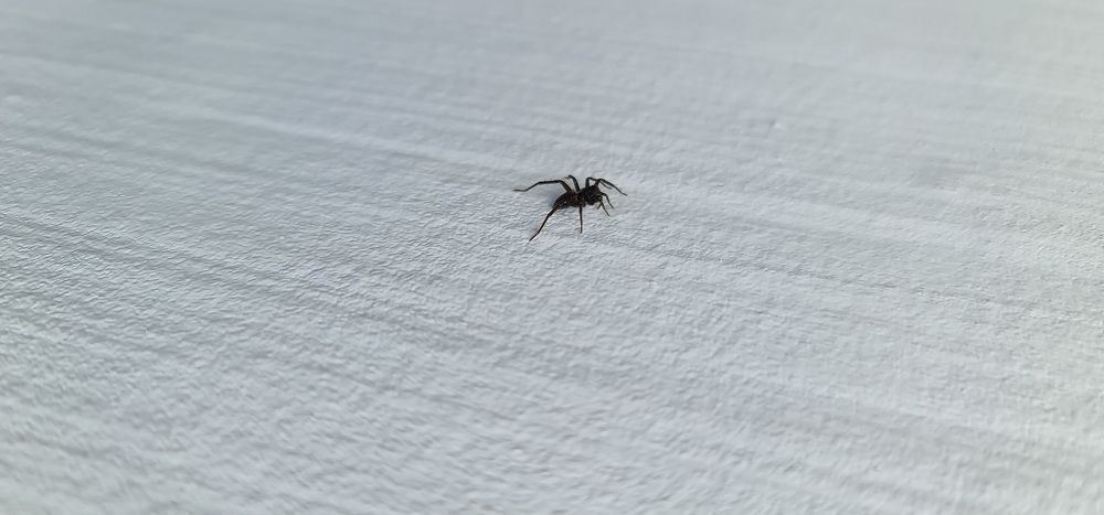 Photograph by Natasha Kim