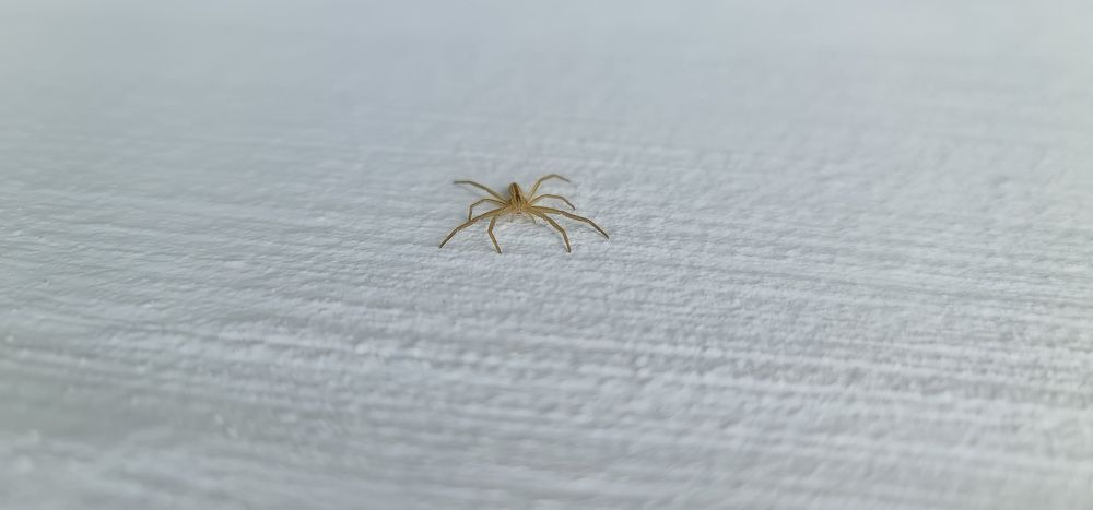 Photograph by Natasha Kim