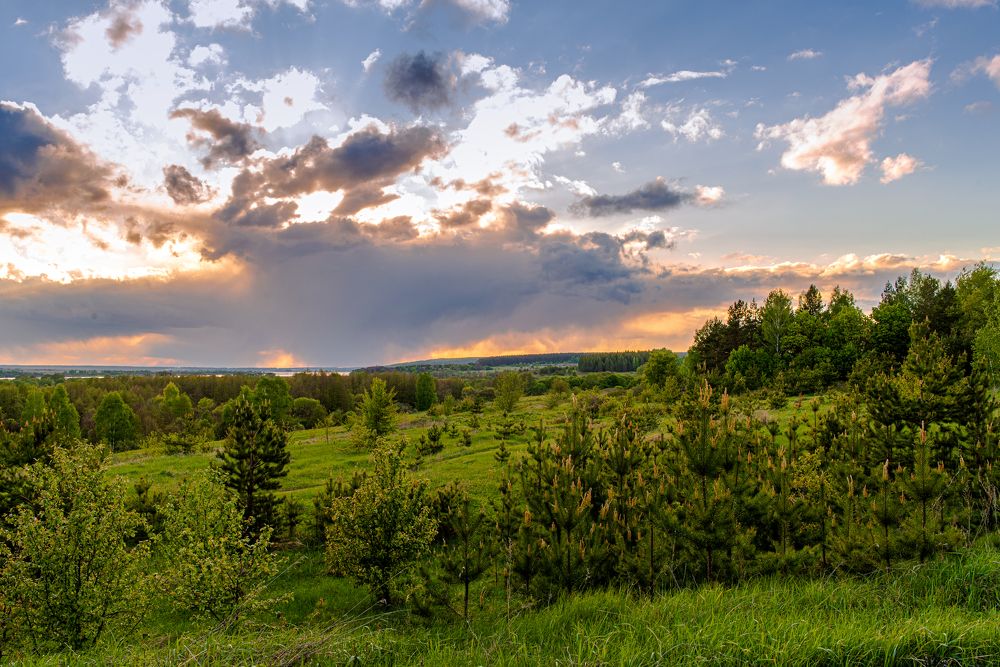Photograph by YURIY TSARENKO