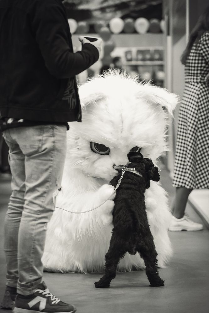 Фотография автора Игорь Ефремычев