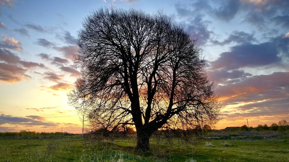 Фотография автора Юлия Шумейко