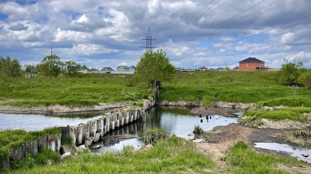 Фотография автора Юлия Шумейко