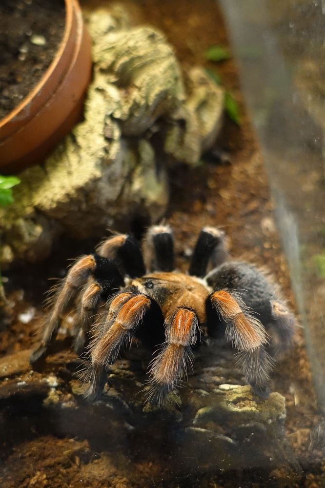 Photograph by Игорь Семеновский