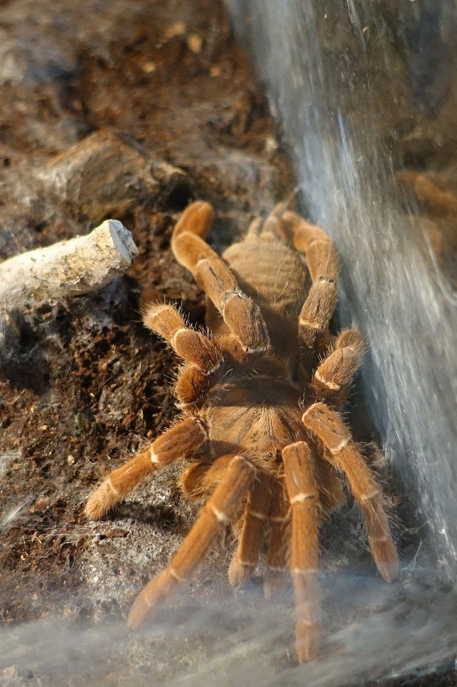 Photograph by Игорь Семеновский