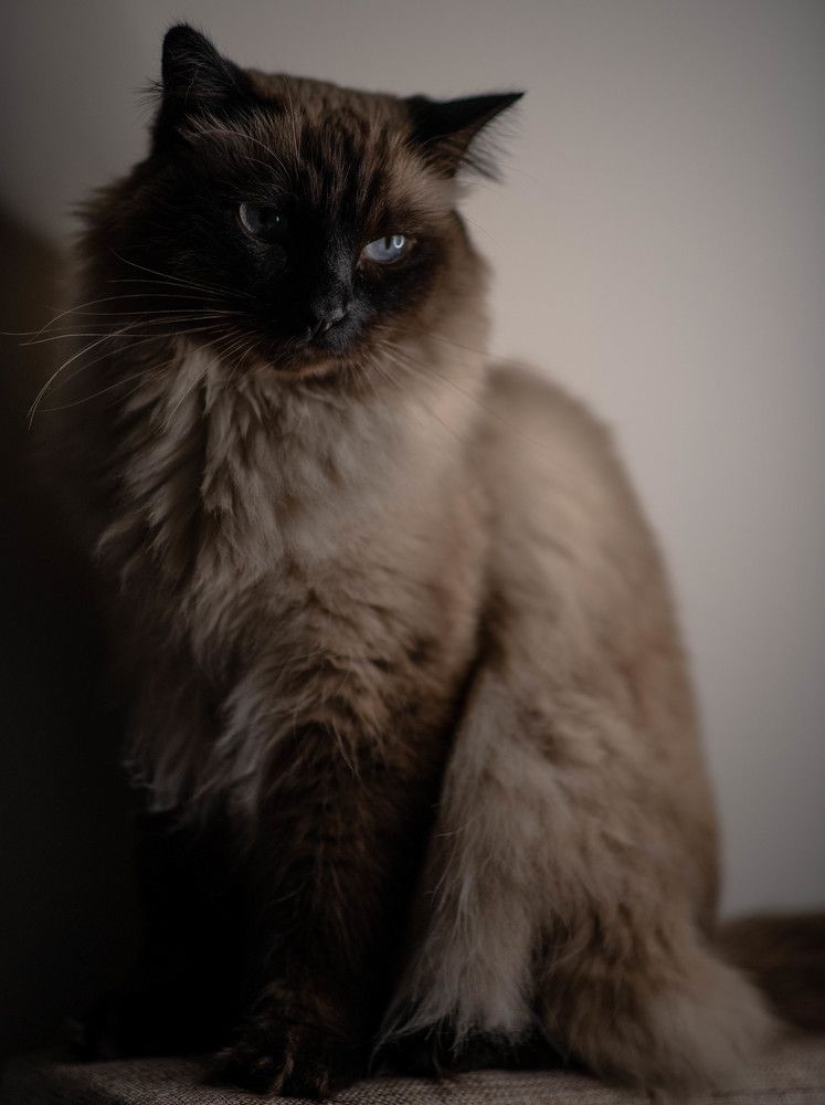 Photograph by Юлия