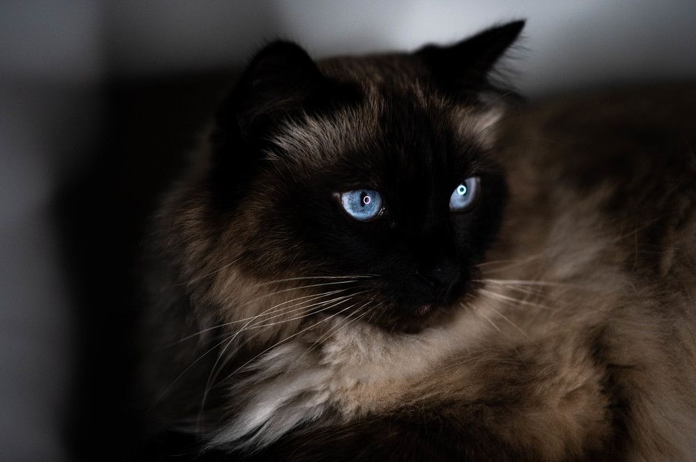 Photograph by Юлия