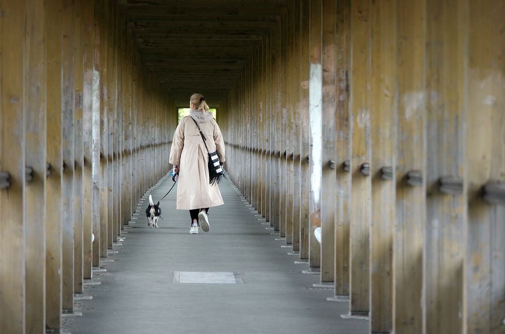 Photograph by Дмитрий Ткаченко