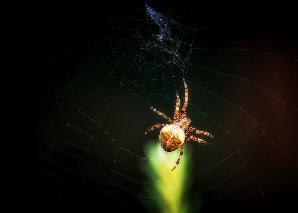 Photograph by Сергей Дишук