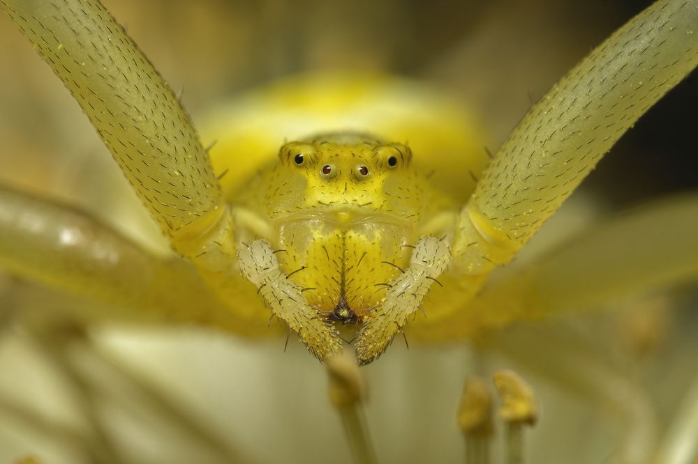 Photograph by Eimar Kull