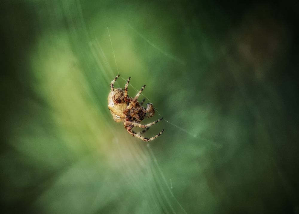 Photograph by Сергей Дишук