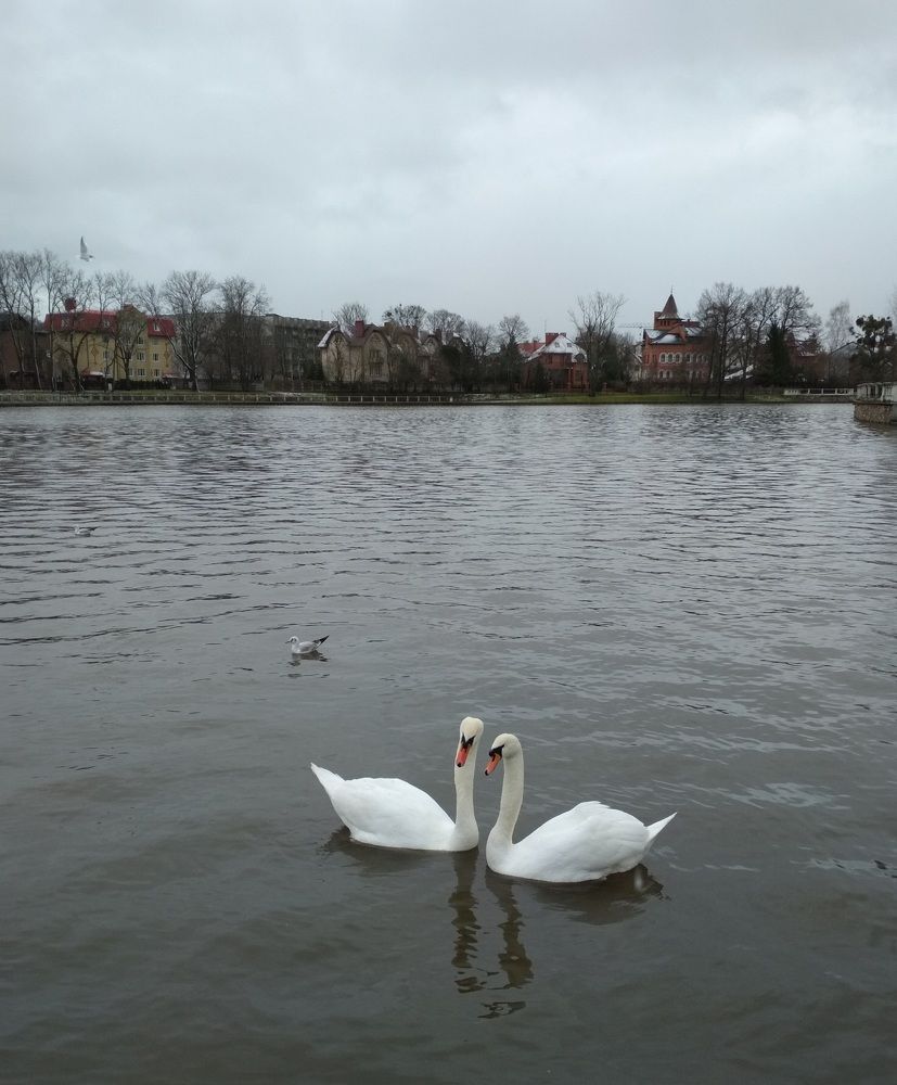 Photograph by Людмила Сотникова