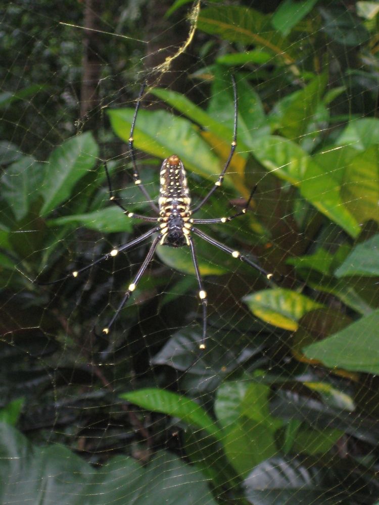 Фотография автора Елена Александрова