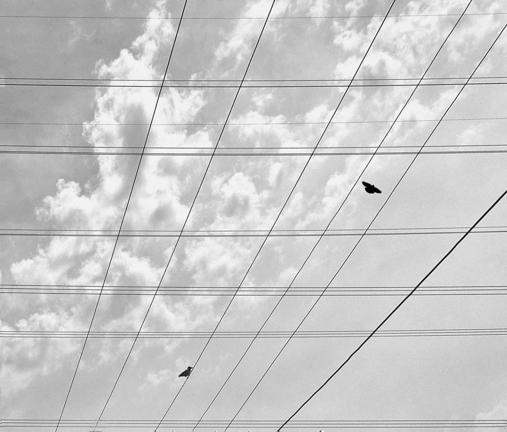 Photograph by maziar zahmatkesh