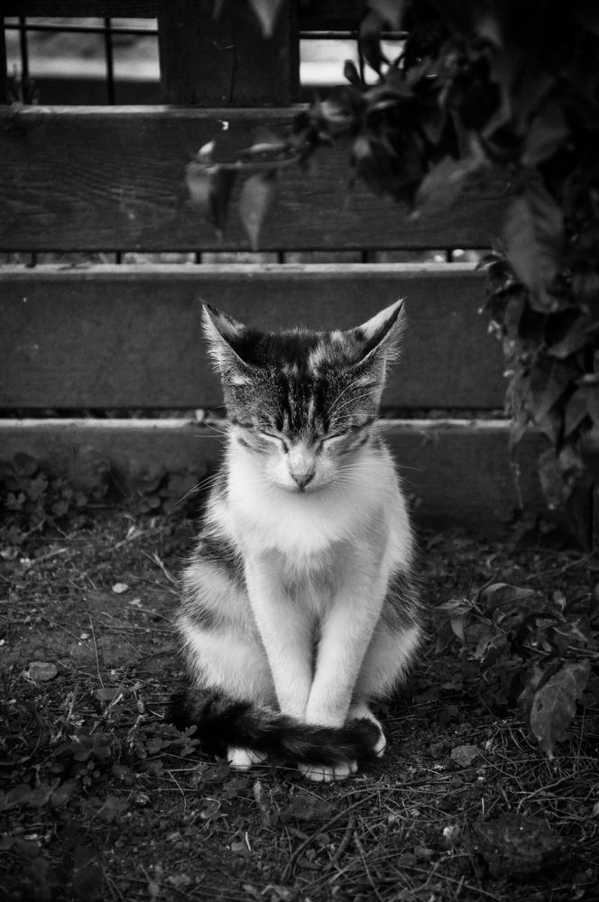 Photograph by Марина Маркина