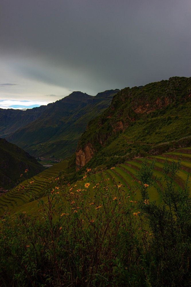 Photograph by Ekaterina Narozhnova