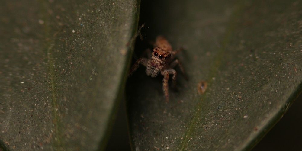 Photograph by Adrielly Mendes Abade