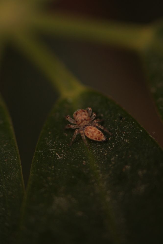 Photograph by Adrielly Mendes Abade