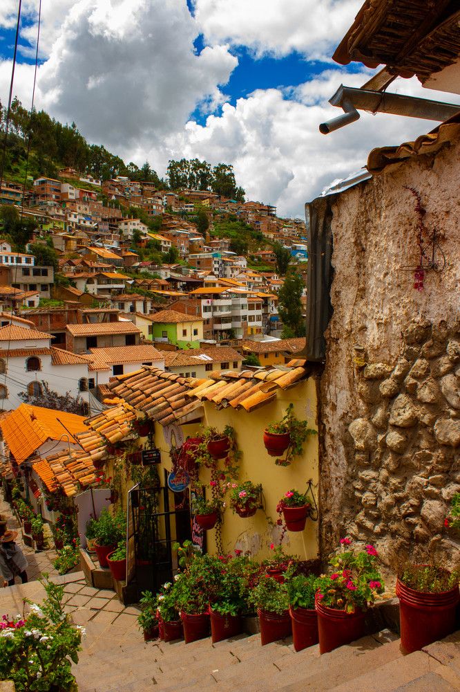 Photograph by Ekaterina Narozhnova