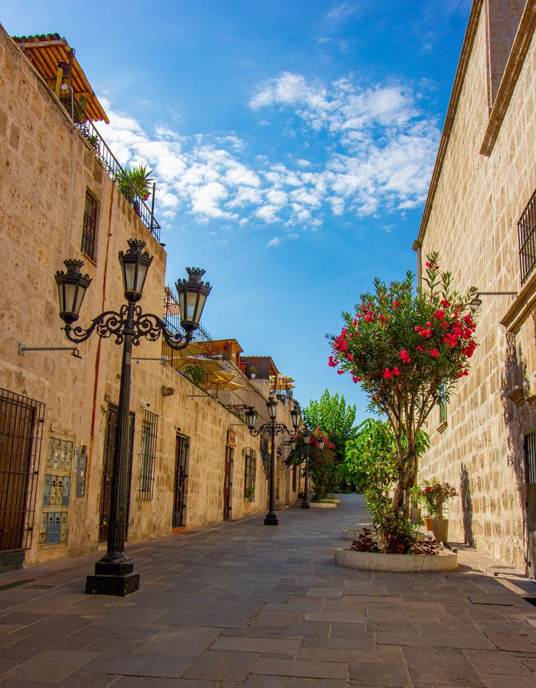 Photograph by Ekaterina Narozhnova