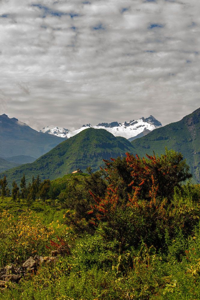 Photograph by Ekaterina Narozhnova